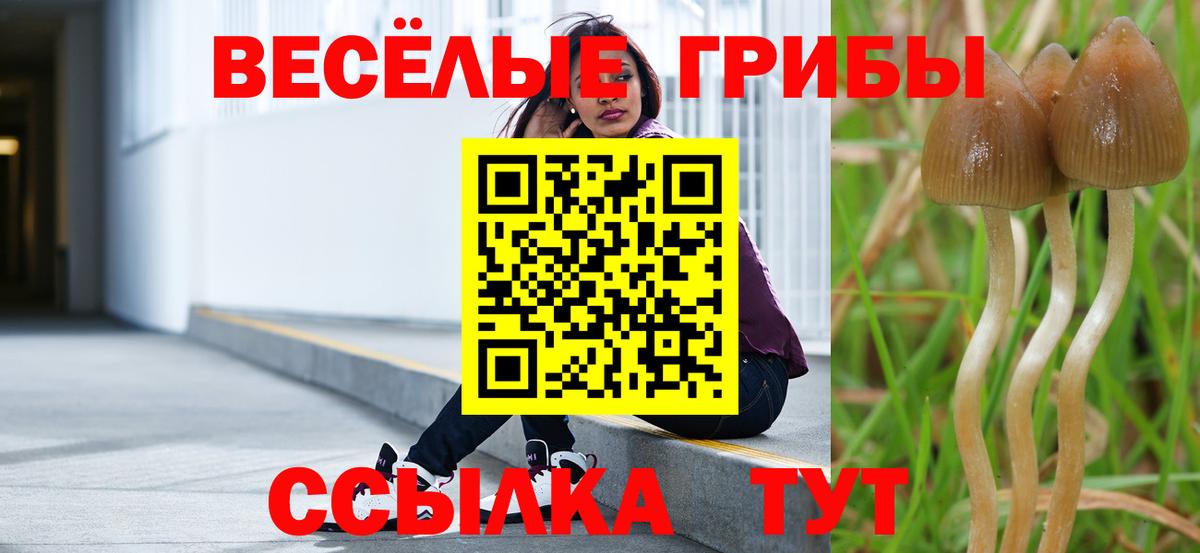 Сарапул  Псилоцибиновые грибы прущие грибы  Вход с VPN 